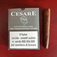CESARE 