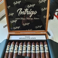 INTRIGO